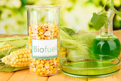 Lower Clapton biofuel availability